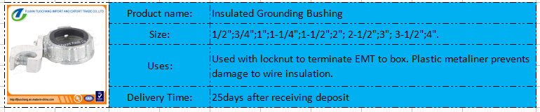 Electrical Conduit Fitting Insulated Grounding Bushing